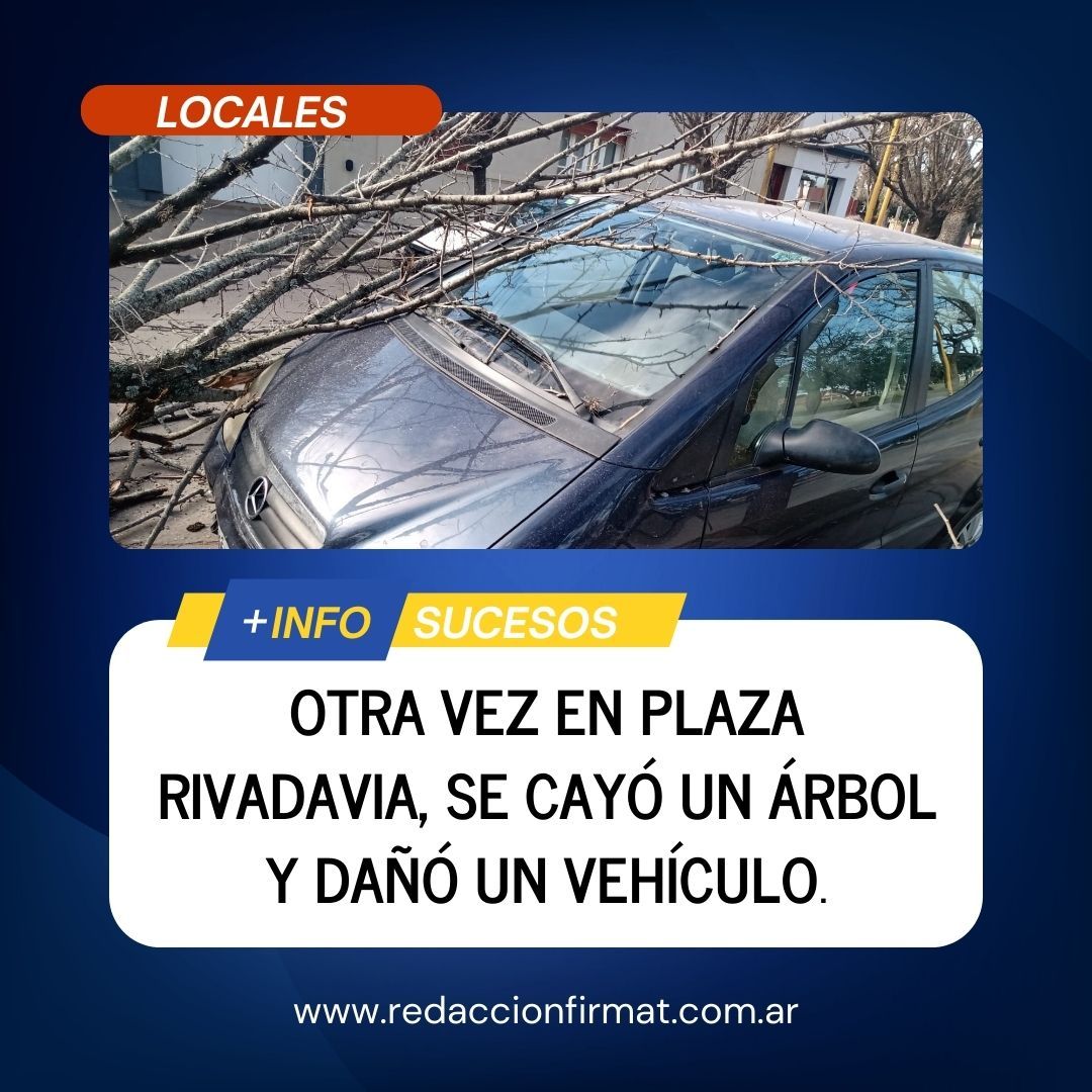 +INFO #Locales
Hace un tiempo ya un árbol había caído sobre un joven, esta vez daño un vehículo de una vecina de la ciudad. 
buff.ly/4cy64s1