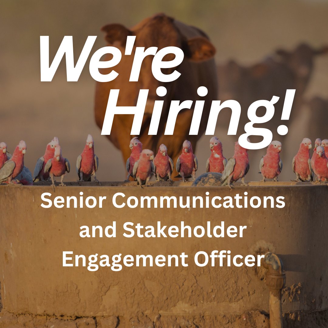 We're hiring! Join CDU as a Senior Comms &amp; Stakeholder Engagement Officer. Shape innovative strategies for the Northern WA &amp; NT Drought Hub. Fixed term, full time. Salary: $102,831 – $116,253 pa + 17% super. 

Apply now! seek.com.au/job/77796670

#DarwinJobs #Communications