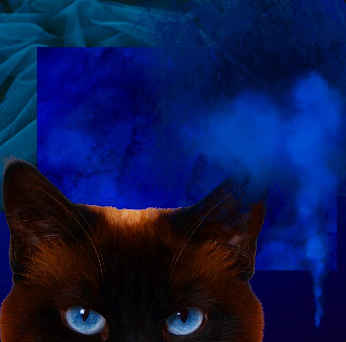 LOVECASHIONISTA (@lovecashfashion) on Twitter photo CATEYES
This piece was selected on <a href="/hugxyz_/">hugxyz</a> for BBC|Blue Based Cats by <a href="/nftlovelycats/">Lovely Cats 🐈⬛ 🐈</a> and curated by <a href="/manisaemi/">Mani Saemi 🇬🇧💎</a>
Reserve: 0.017 $BASE ETH
Buy Now: 0.03 $BASE ETH
20% of all sales supports homeless cats 💙
Link: foundation.app/gallery/blue-b… CATEYES
This piece was selected on <a href="/hugxyz_/">hugxyz</a> for BBC|Blue Based Cats by <a href="/nftlovelycats/">Lovely Cats 🐈⬛ 🐈</a> and curated by <a href="/manisaemi/">Mani Saemi 🇬🇧💎</a>
Reserve: 0.017 $BASE ETH
Buy Now: 0.03 $BASE ETH
20% of all sales supports homeless cats 💙
Link: foundation.app/gallery/blue-b…