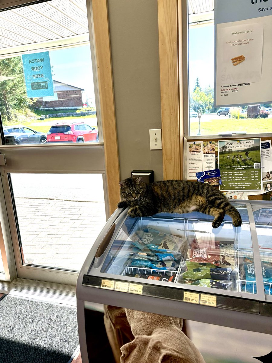 Man, I just want to be this guy. Even for a day.