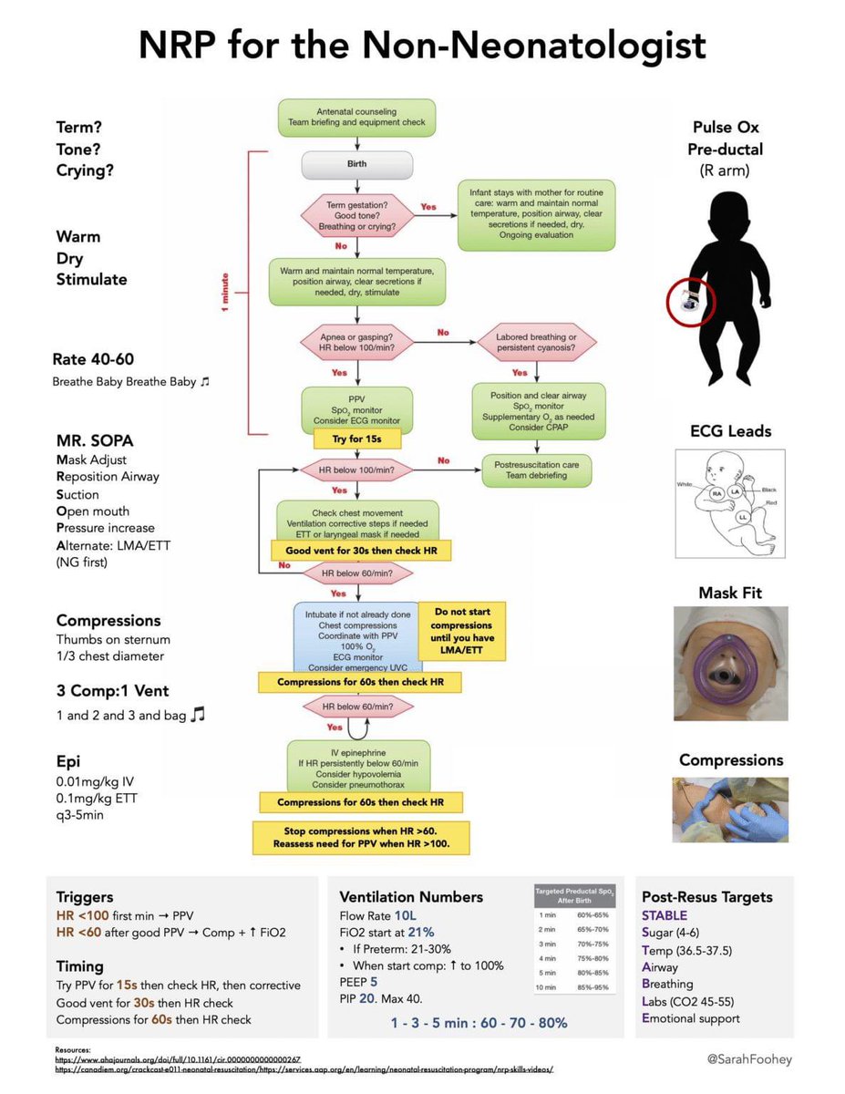ResusMed's tweet image. Neonatal Resuscitation Cheat Sheet