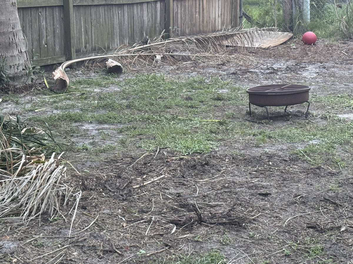 ithecommie's tweet image. I gave @insideFPL  to come into my backyard I have video footage of the man coming to my door me talking to him telling him to close the gate! I did not give them permission to cut limbs off nor they did not tell me they were going too. 
This is very wrong!!!!