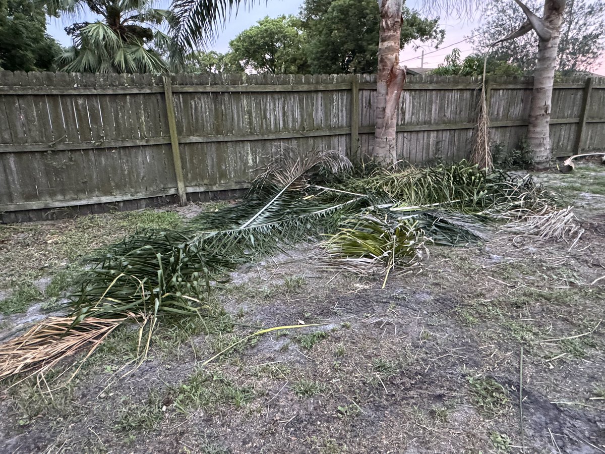ithecommie's tweet image. I gave @insideFPL  to come into my backyard I have video footage of the man coming to my door me talking to him telling him to close the gate! I did not give them permission to cut limbs off nor they did not tell me they were going too. 
This is very wrong!!!!