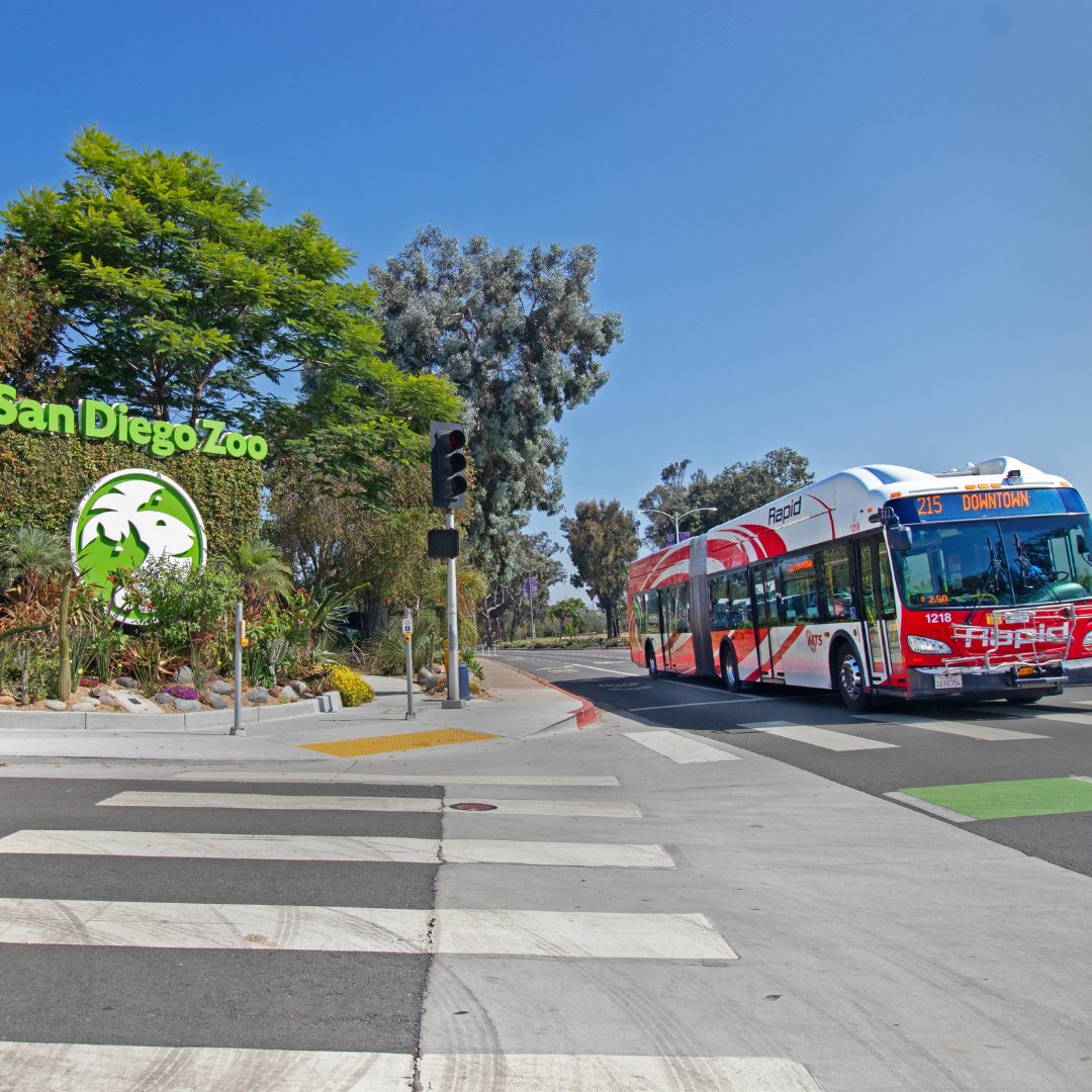 San Diego’s cutest residents are settled in and ready for public viewing at the San Diego Zoo starting tomorrow, Aug. 8.

🐼 Don't let PANDA-monium become parking pandemonium! 🐼Take transit directly to the Zoo!

Learn more: bit.ly/3WVWVov