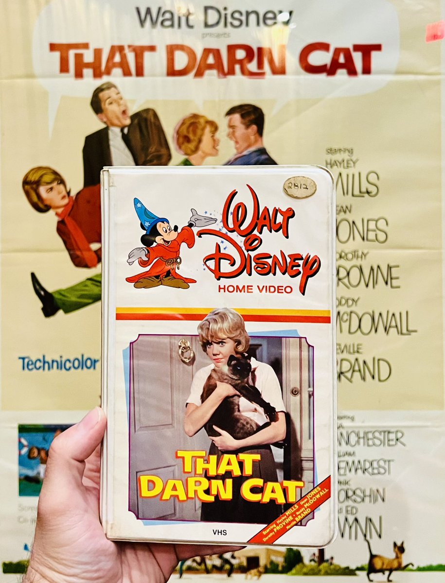 Video Archives Cinema Club tweet media