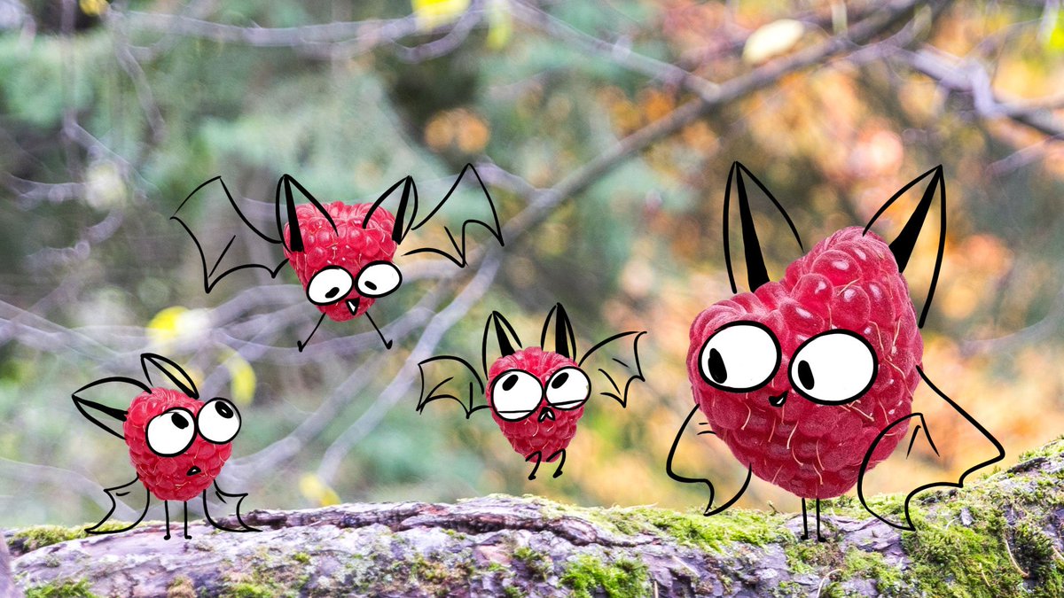 maperns's tweet image. Anyone looking for an animator/storybord artist/character designer? A super great one? Check Perin's porfolio: (freakingcreatur.es)