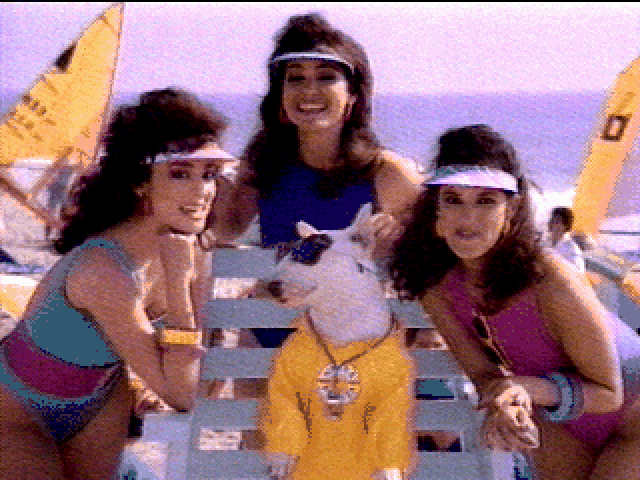 gifs_bot's tweet photo. SWIMSUIT/SPUDS.GIF https://t.co/g8aMfPcfn8