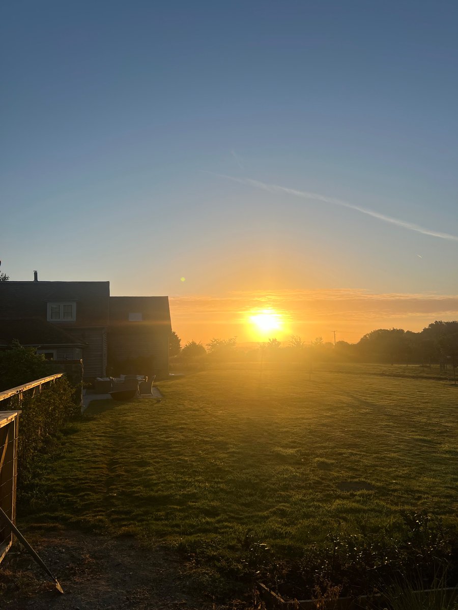 #farm24 is here again! I start every day by checking my kitchen and market garden and picking some fresh mint for my first cup of tea. 
Growing veg is still experimental for us with the aim to supply year round veg to our Egg Machine and wholesale customers. We have successfully