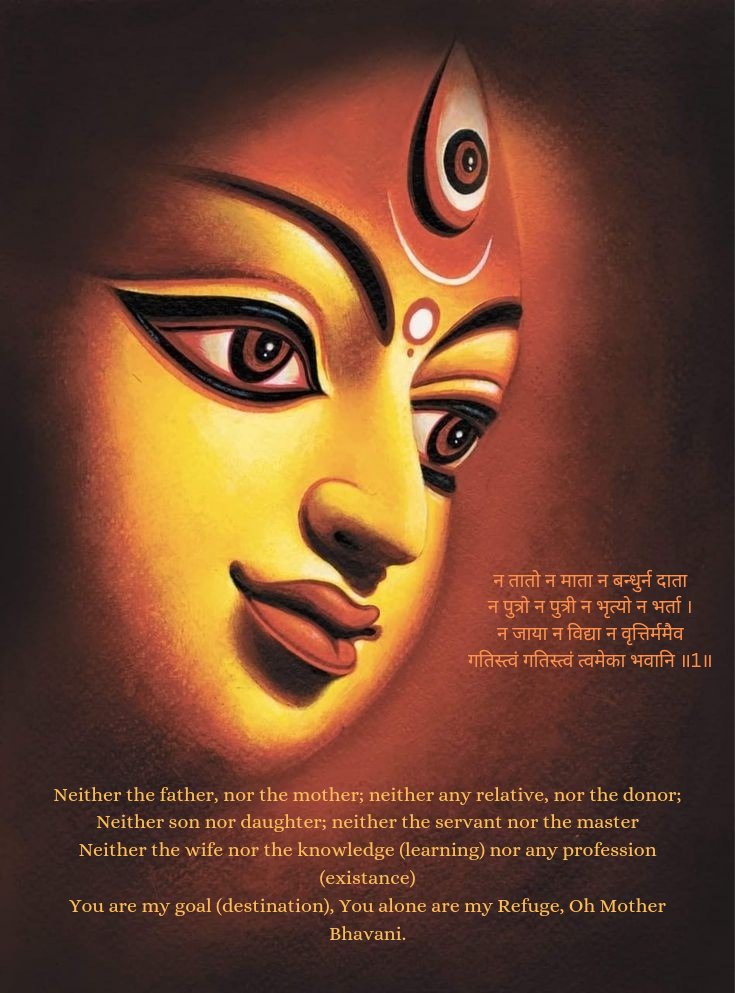 नित्या🌺🌞🌻✨🌙 tweet media