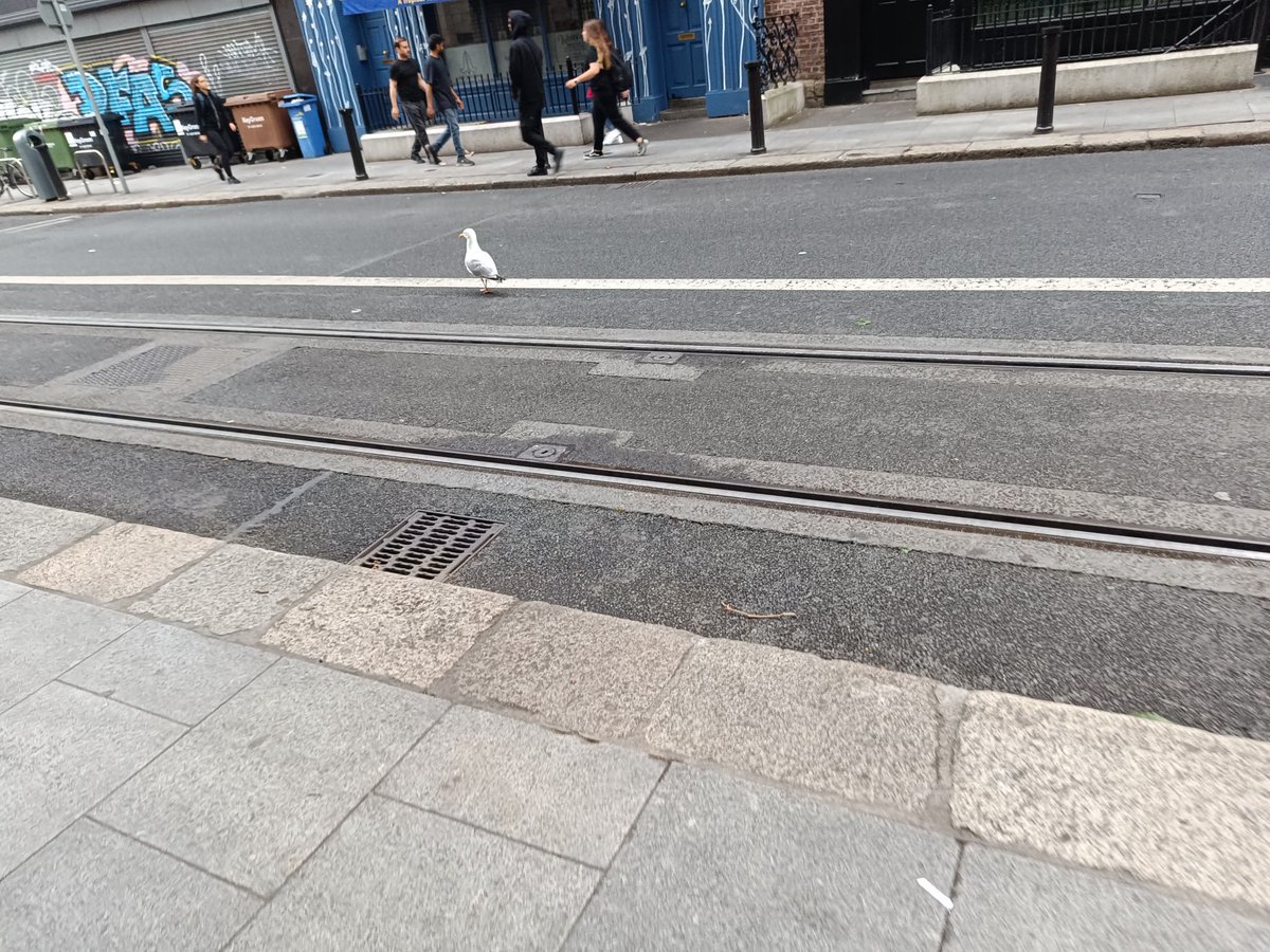 HongMasakuang's tweet photo. #Dublin https://t.co/KOWJ9fj2qc