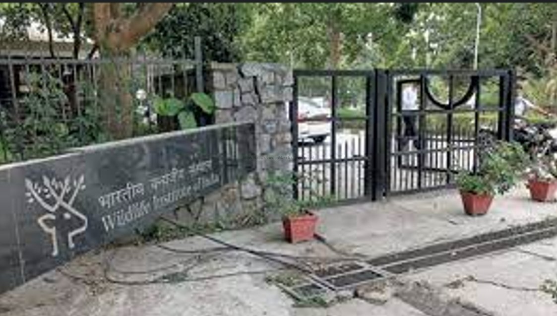 uttrakhandcold1's tweet photo. The Wildlife Institute of India (WII) is hiring for 11 contractual posts of Project Assistant, Project Associate, and Various Others
.....
https://t.co/3ma5TPq5iN

#wii #WildlifeInstituteofIndia #Dehradun #jobsindehradun #haridwarjobs #jobsinhaldwani https://t.co/rPHl2TF7qf