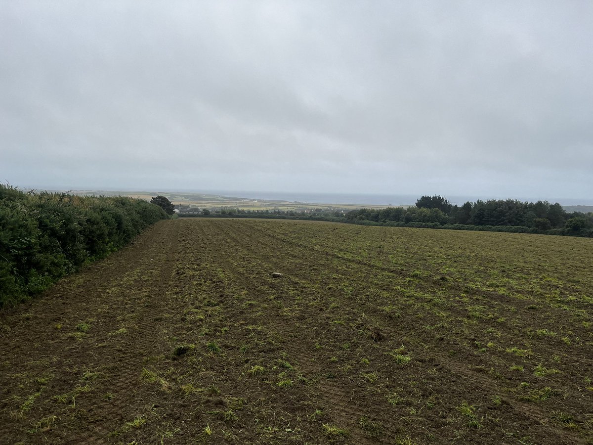 #farm24 8 acres of multi species grass seed spread before the next bout of wind and rain arrives