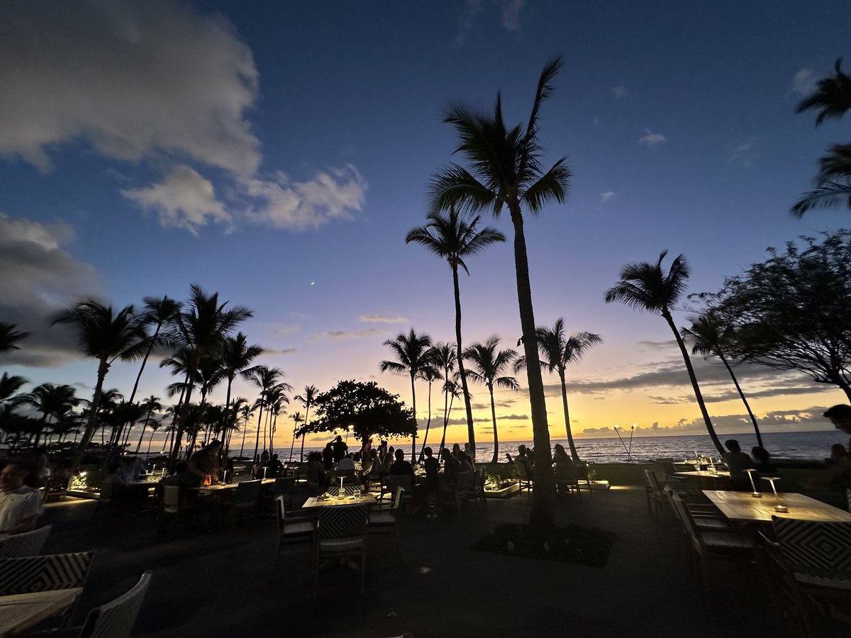 Michelle Digman tweet media