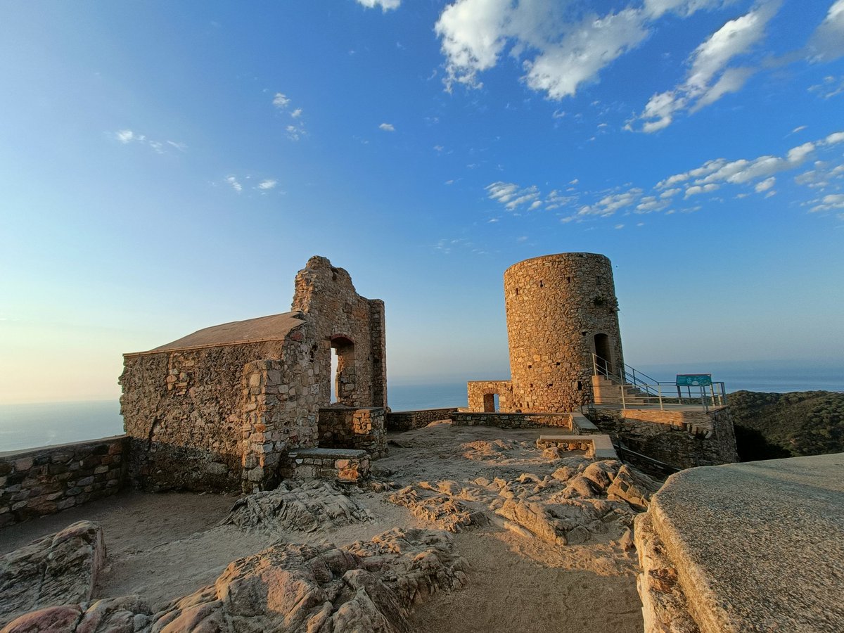 Pau Pujol Vilà tweet media