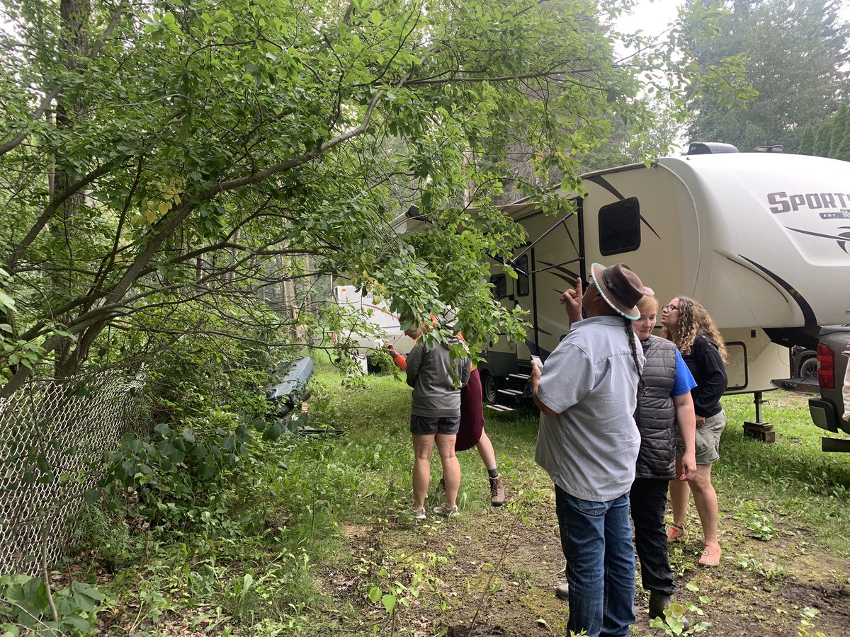 Indigenous Education Council tweet media