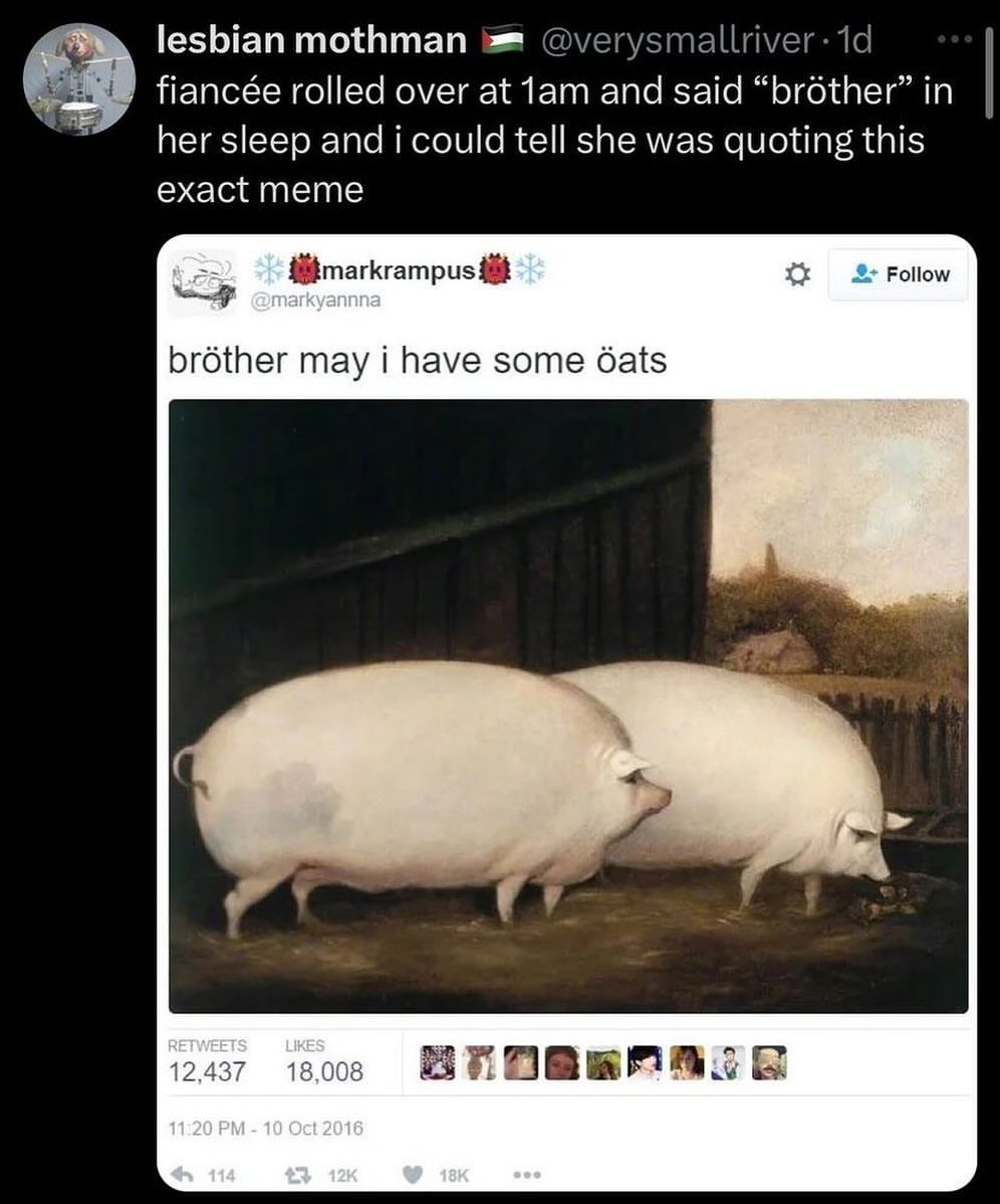 🕐HOURLY🕑 shitpost tweet media