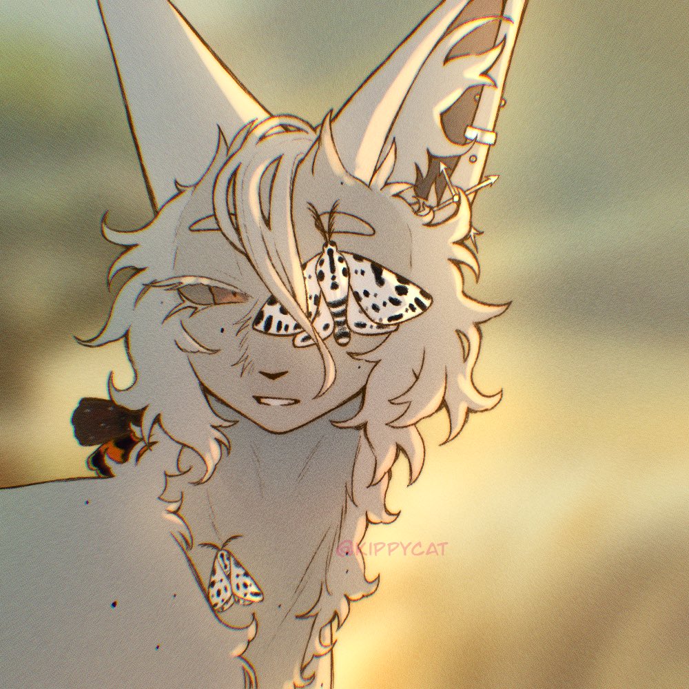 KippyCat_'s tweet image. owed art for a trade :D

#warriorcats