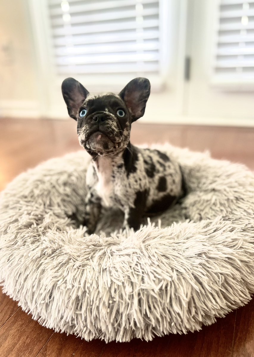 Xavier Boyce tweet media