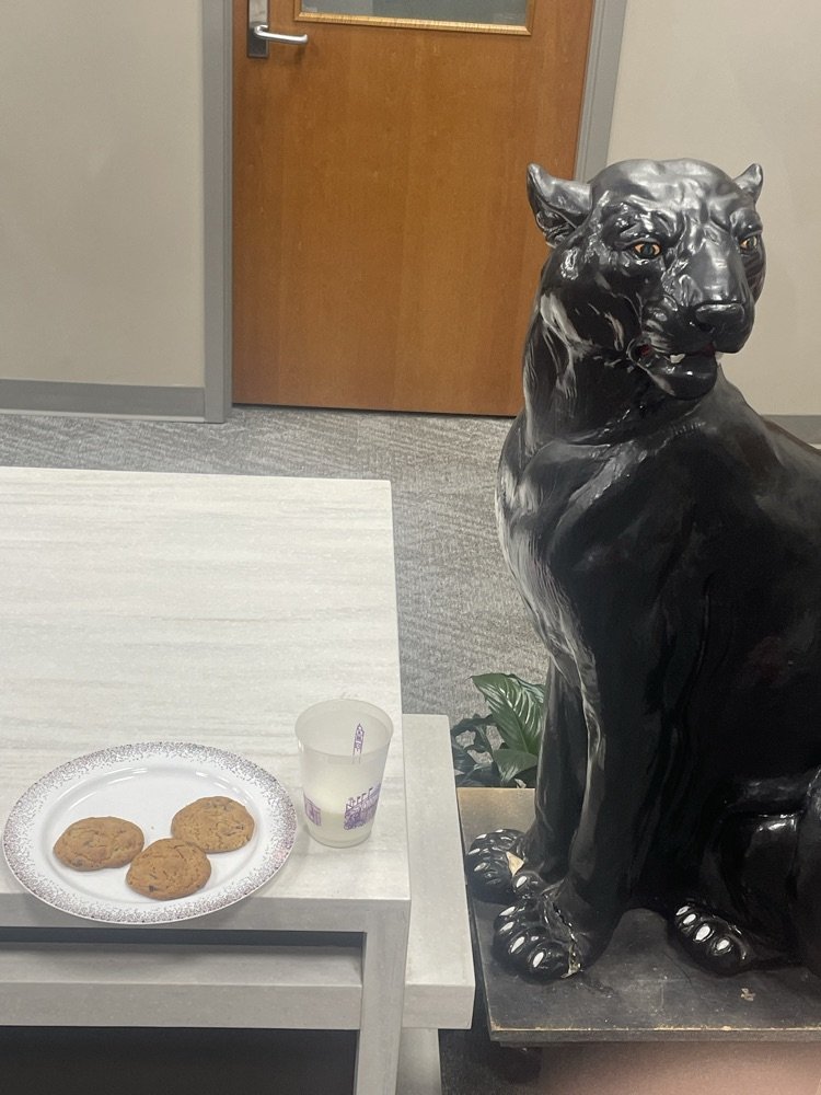 bruslypanthers tweet media