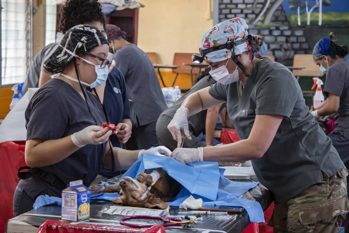 JTF_Bravo's tweet image. During Continuing Promise 2024, JTF-Bravo worked alongside @NAVSOUS4THFLT USNS Burlington to provide veterinary care, Women, Peace, & Security seminar & HA/DR exercises to share info, build plans & provide support for Honduras.
jtfb.southcom.mil/Media/News/Dis…
@Southcom @usembassyhn