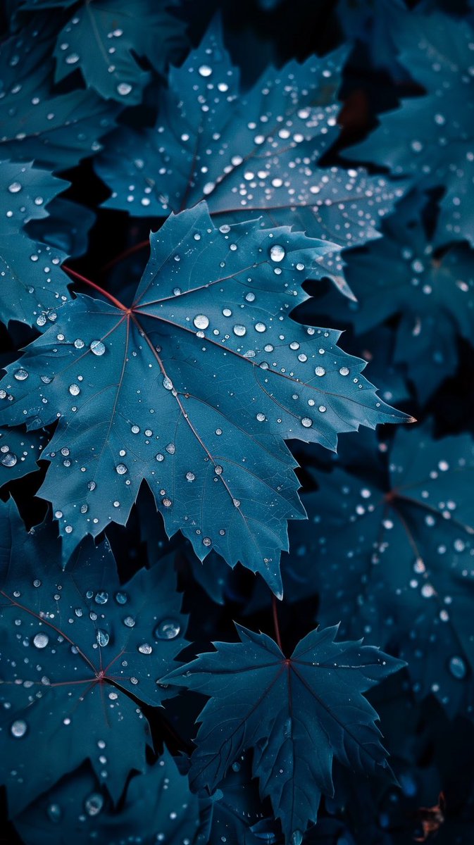 Wallpapers__top's tweet photo. Blue leaves #wallpaper https://t.co/nlPYFFiimP