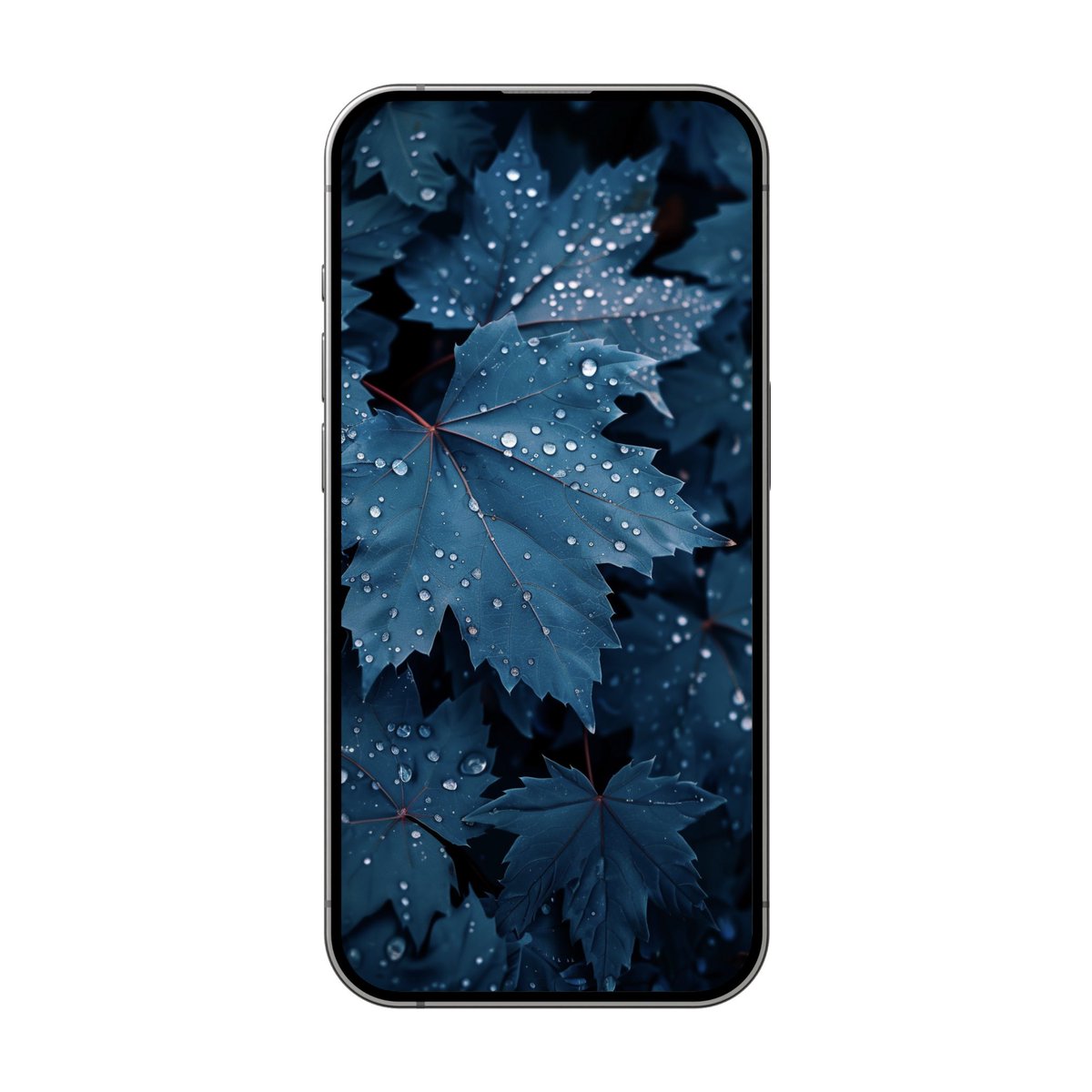 Wallpapers__top's tweet photo. Blue leaves #wallpaper https://t.co/nlPYFFiimP