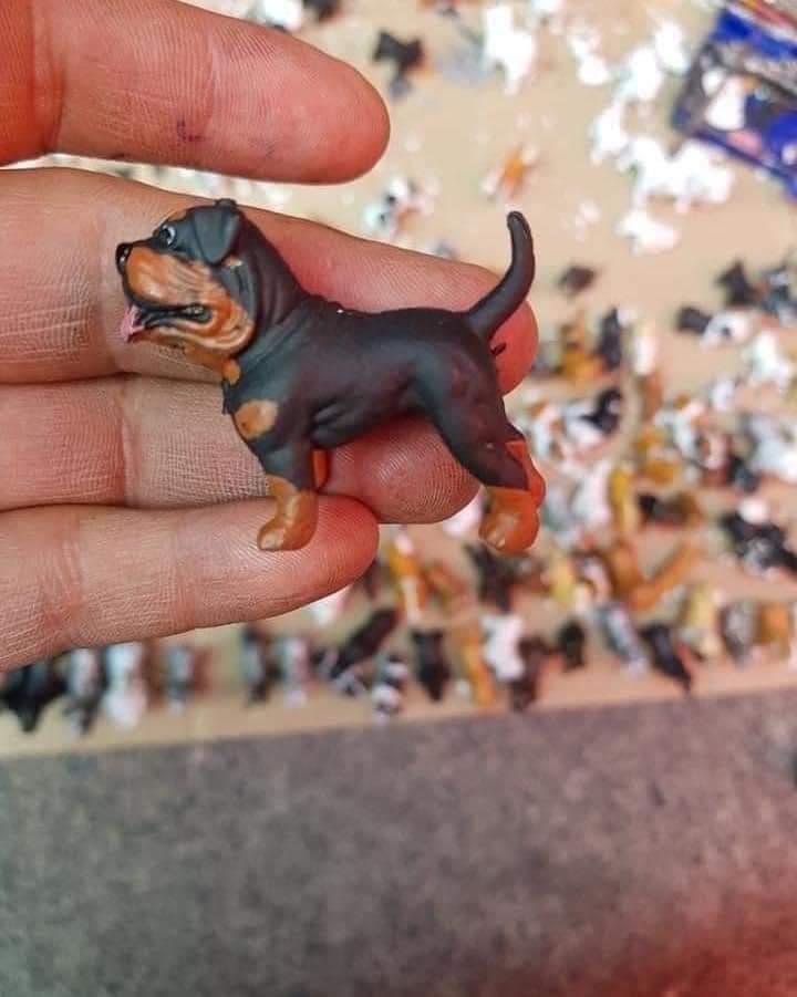 Sabueson's tweet photo. ¡Vamos a ir a buscarlo! Afuera del metro Ermita en #CDMX el señor les hace una réplica de tu perrito, mientras más personas vean esta publicación más ayudaremos a qué el tenga clientes ❤️

Unidos somos más fuertes 🤗 https://t.co/KvFhMVv9KH