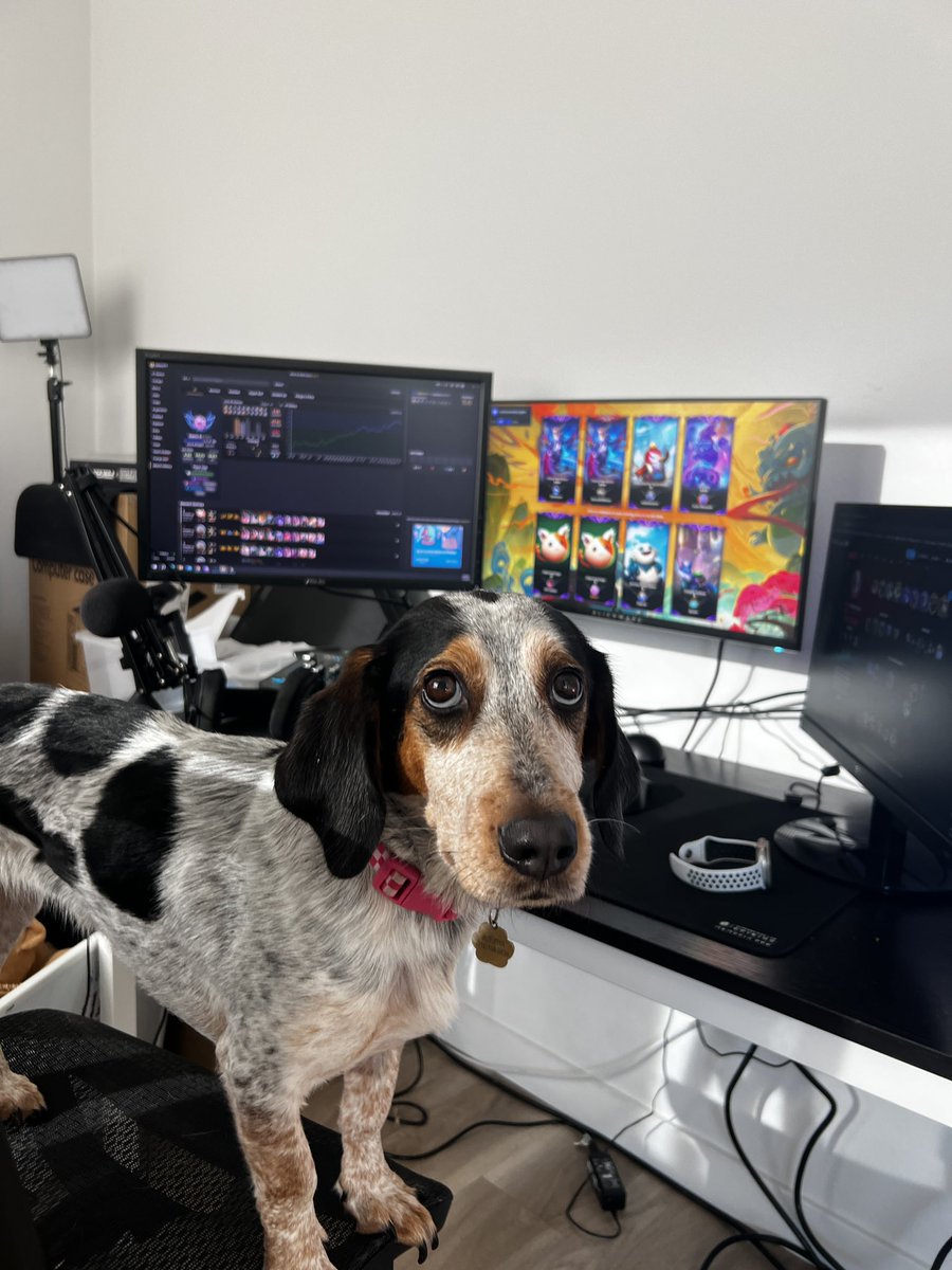 Deric 🐶 tweet media