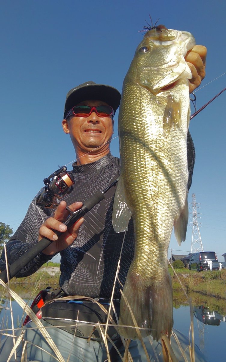 Stallion4829's tweet photo. カレントも弱まり水が悪くなってきた頃にKugiラバのデジ巻きに戻すと一投目から50.5cm1560g👍
#筑後クリーク
#バスフィッシング
#Legaredesign
#kugiラバ
#DUEL
#Pazdesign
#ZPI
#TEAMZELOS
#プロアーム40
#NOIKE
#ピンテールスティック3
#NOIKEマーケティング
#PR https://t.co/FjGWnciAEH