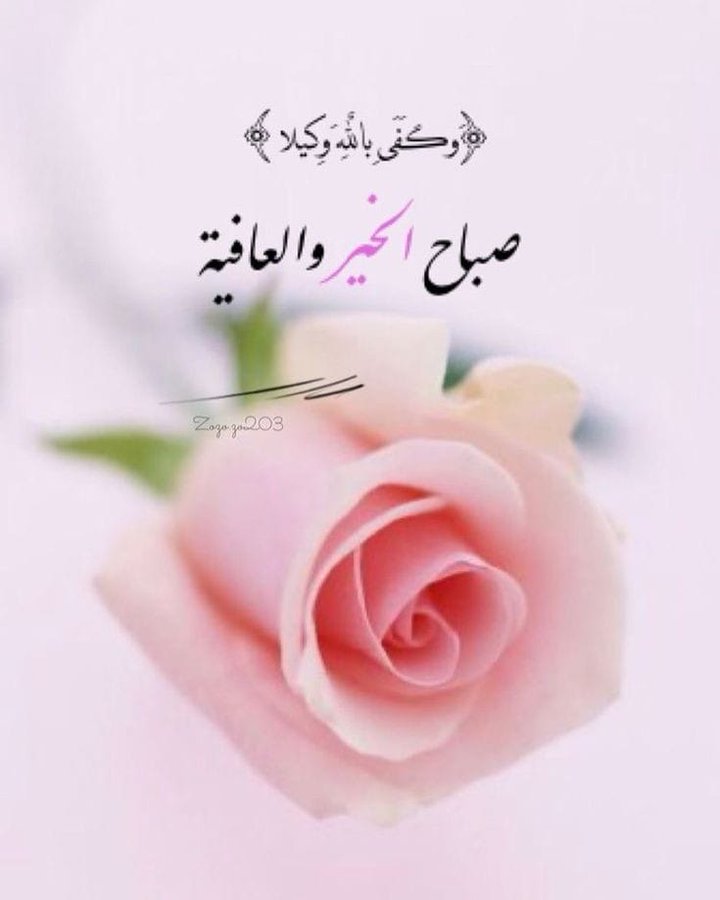 ناري ✨ 🇾🇪🇸🇦 tweet media