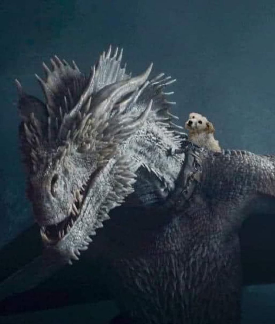 #HouseOfTheDragon season 3 spoiler