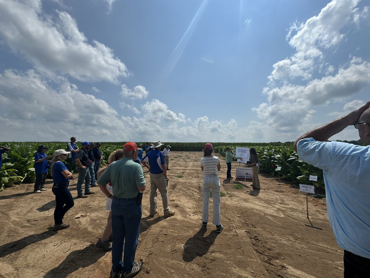 Mitchell Richmond (@utagronomy) on Twitter photo Very proud of these two today! Sharing results from their research with producers about production practices and foliar disease management at the Burley Tobacco Tour at the <a href="/UKAgriculture/">University of Kentucky Martin-Gatton CAFE</a>.
Real. Life. Solutions. <a href="/UTIAg/">UT Institute of Agriculture</a> <a href="/UTPlantSciences/">UT Plant Sciences</a> <a href="/epp_tn/">UT Entomology & Plant Pathology</a> <a href="/UTAgResearch/">UT AgResearch</a> <a href="/utextension/">UT Extension</a> Very proud of these two today! Sharing results from their research with producers about production practices and foliar disease management at the Burley Tobacco Tour at the <a href="/UKAgriculture/">University of Kentucky Martin-Gatton CAFE</a>.
Real. Life. Solutions. <a href="/UTIAg/">UT Institute of Agriculture</a> <a href="/UTPlantSciences/">UT Plant Sciences</a> <a href="/epp_tn/">UT Entomology & Plant Pathology</a> <a href="/UTAgResearch/">UT AgResearch</a> <a href="/utextension/">UT Extension</a>