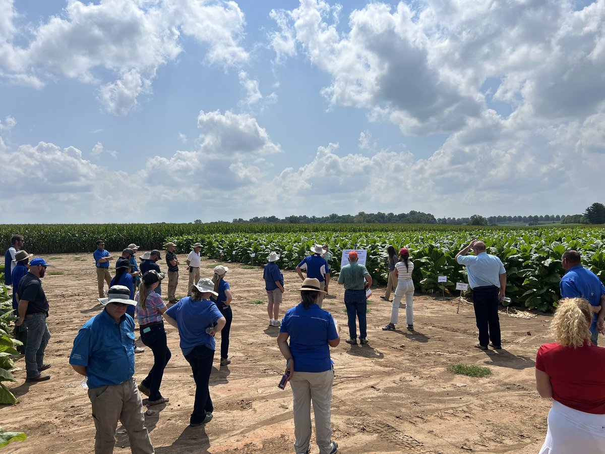 UTAgronomy's tweet photo. Very proud of these two today! Sharing results from their research with producers about production practices and foliar disease management at the Burley Tobacco Tour at the @UKAgriculture. 

Real. Life. Solutions. @UTIAg @UTPlantSciences @epp_tn @UTAgResearch @utextension https://t.co/oR40Kq9n79
