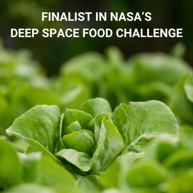 SABE_latrobe's tweet photo. 🚀We're finalists in @NASA's Deep Space Food Challenge! Along with Gaia Project Australia, La Trobe's project aims to grow food for long #space journeys. The team, Enigma of the Cosmos, travels to the US in August where winners will be announced. 🌱#LISAF https://t.co/f7vaHIynbc https://t.co/i1BoaqOhBS