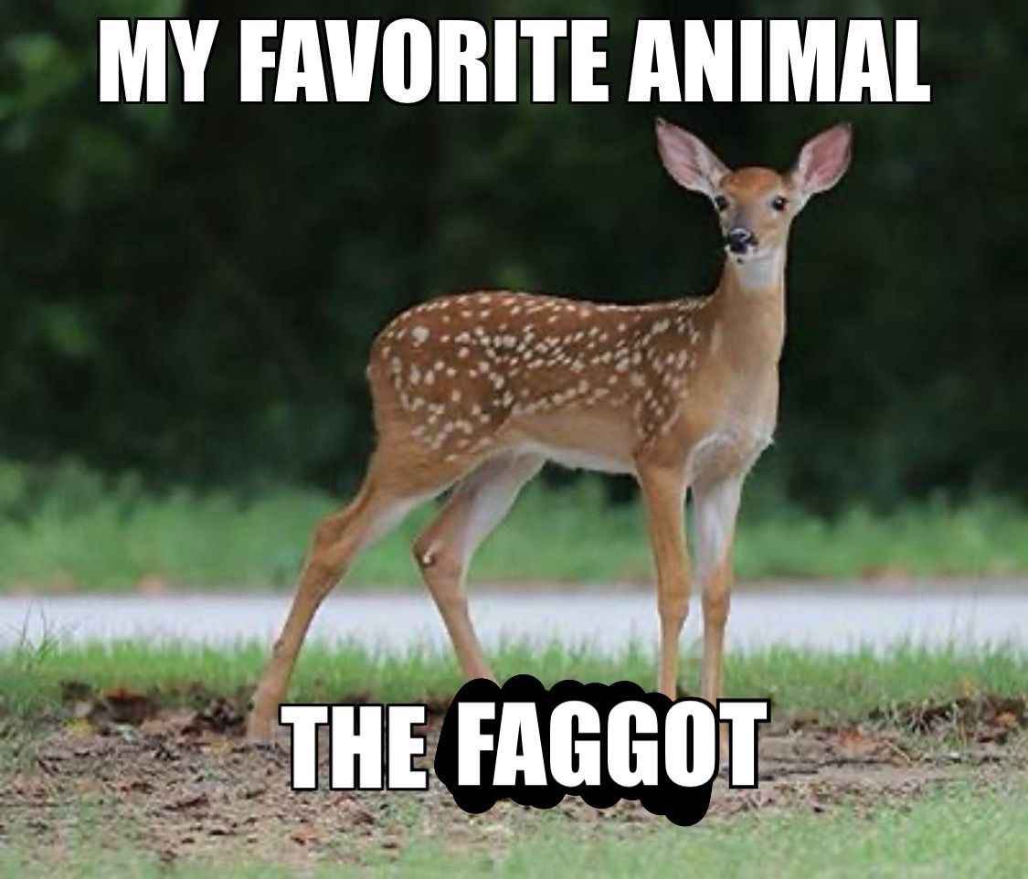 deershouldnt's tweet photo. https://t.co/jh48tc9UTw