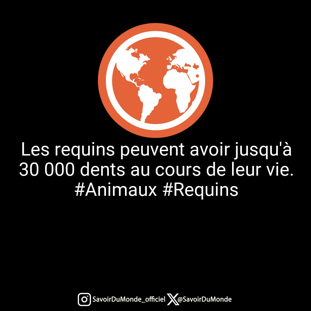 SavoirDuMonde's tweet image. Les requins peuvent avoir jusqu'à 30 000 dents au cours de leur vie. #Animaux #Requins