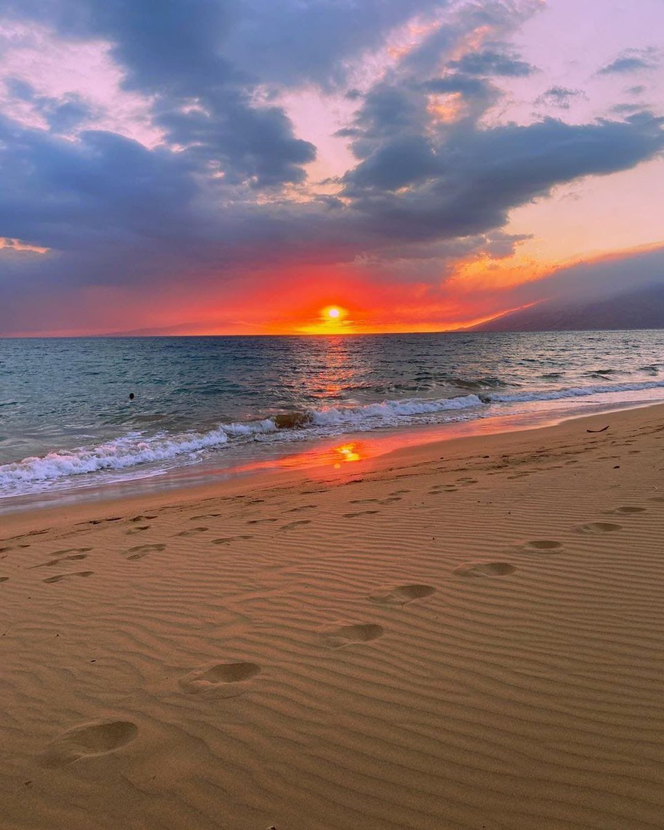 aestheticspost_'s tweet photo. Walks by the ocean 🌊 

Yes or no ? https://t.co/BBKy1mFzUB