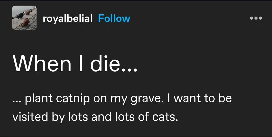 🫧🪼houseofstormᵃʳᵒᵃᶜᵉ⋆ tweet media