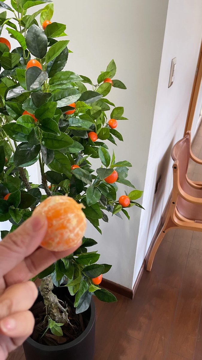 Jo Moncada Sáez tweet media