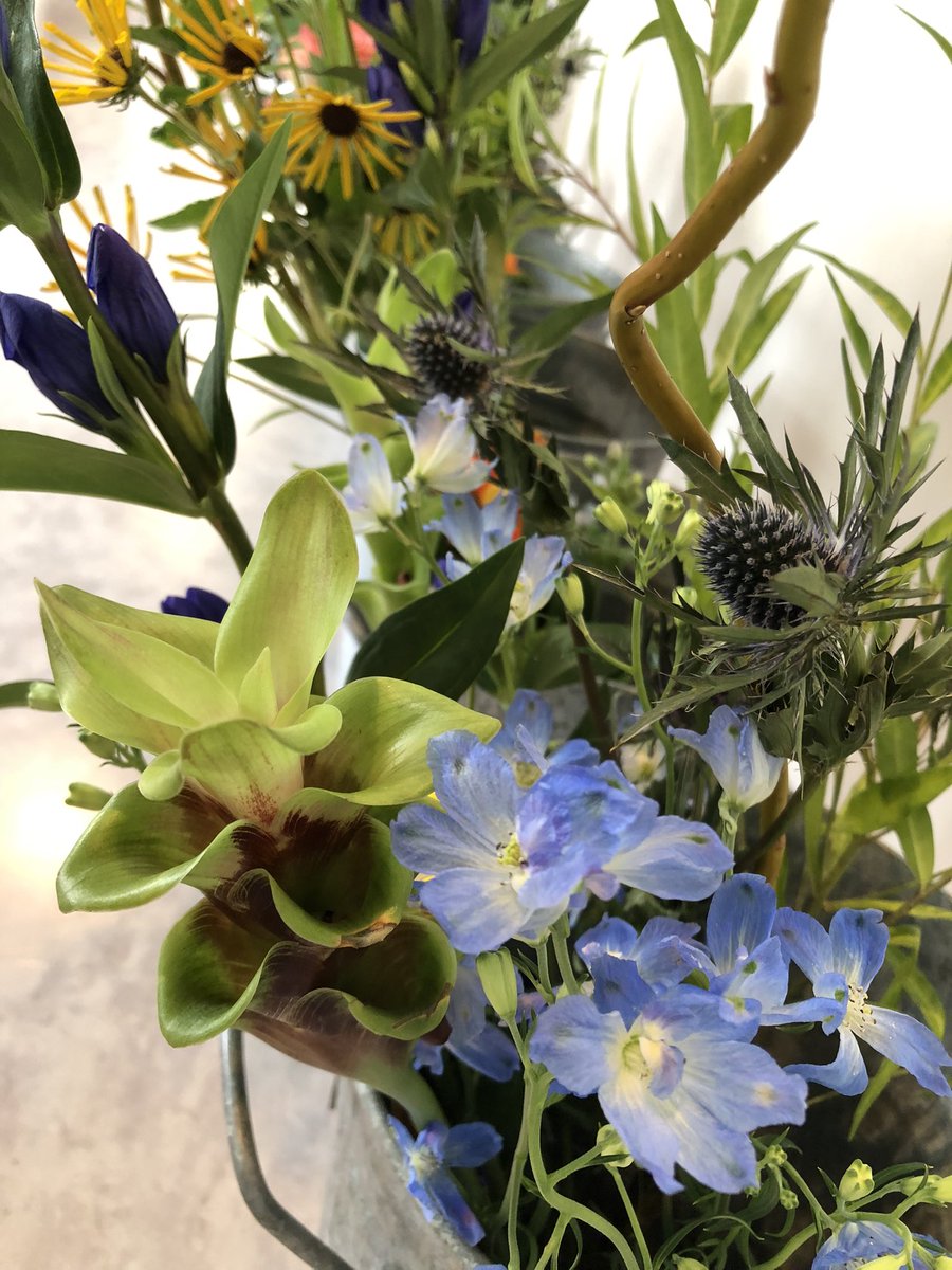 ikebana_wafukai's tweet photo. 本日の共通花材はドラゴン雲竜柳とマグノリアです
柳が生き生きしていますよ✨
本日もお待ちしております
#ikebana #wafu #setagaya
#sakurashimmachi #老人ホーム
#triallesson #いけばな #桜新町 #体験教室 #お稽古 #サザエさん #湘南乃風 #夏休み https://t.co/s4xTYqKeVg
