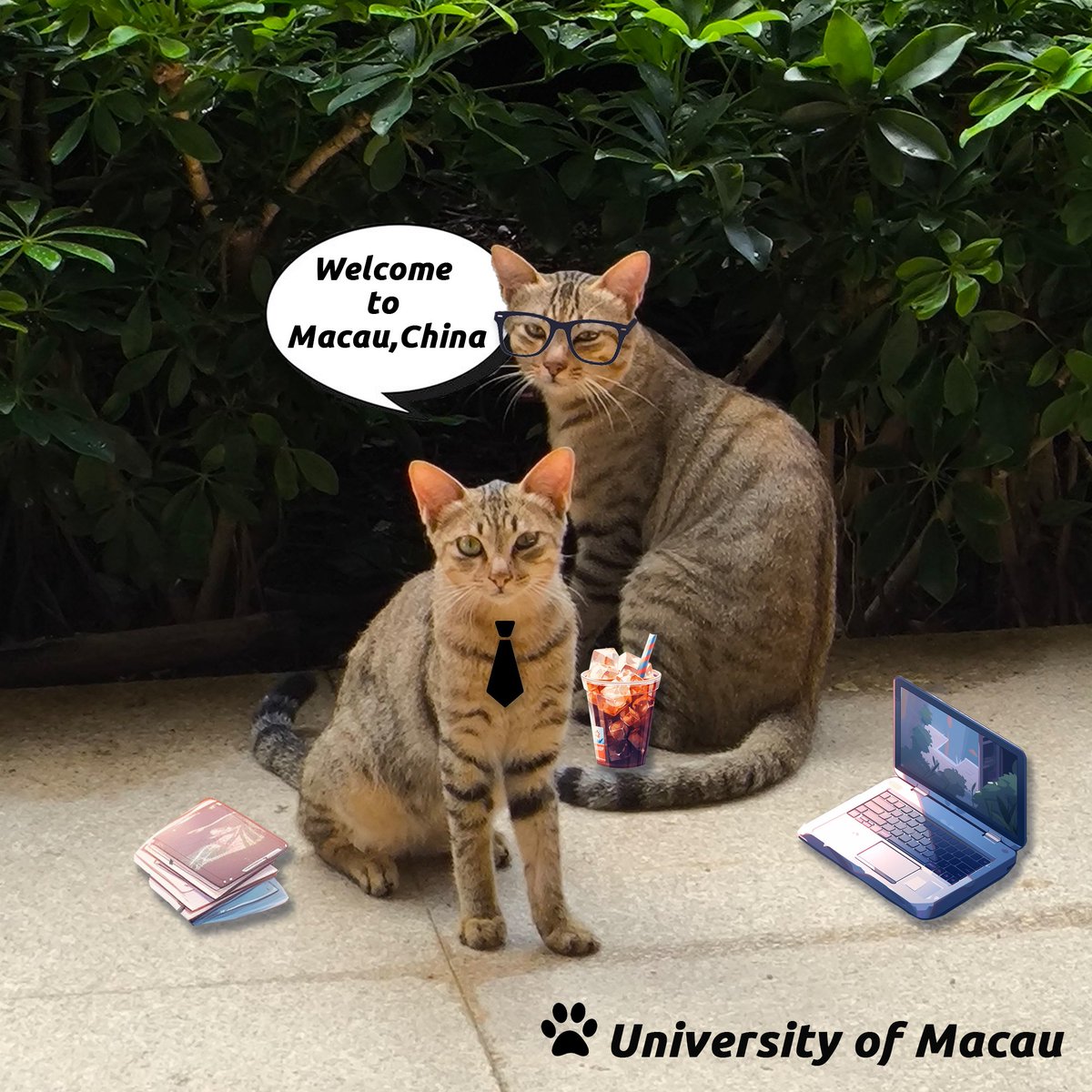 #HelloKittyinCSCEC 🐾Today is International Cat Day! 🎉 Whether it's a cat office worker or a cat architect, they are working on various projects alongside CSCECers.

🐈Is there a little cat accompanying you? Comment below! #InternationalCatDay