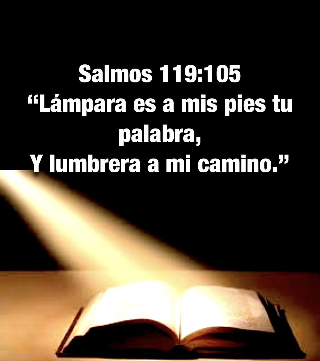 Carmenlop20's tweet photo. 2 Timoteo 3:16-17
"Toda la Escritura es inspirada por Dios, y útil para enseñar, para redargüir, para corregir, para instruir en justicia, a fin de que el hombre de Dios sea perfecto, enteramente preparado para toda buena obra." https://t.co/ChhxsMxjh3
