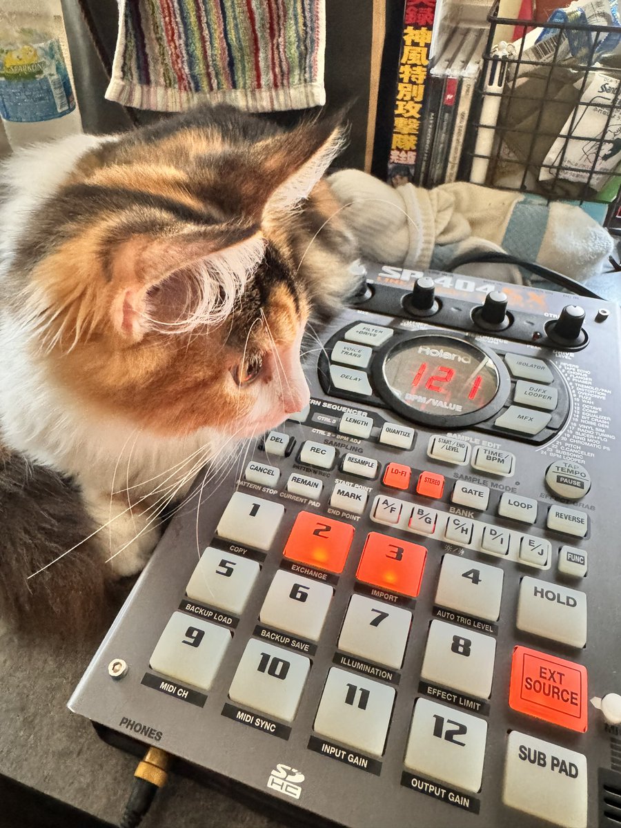 gacci340932's tweet image. next try！#猫　#メインクーン　#sp404sx          
#hiphop