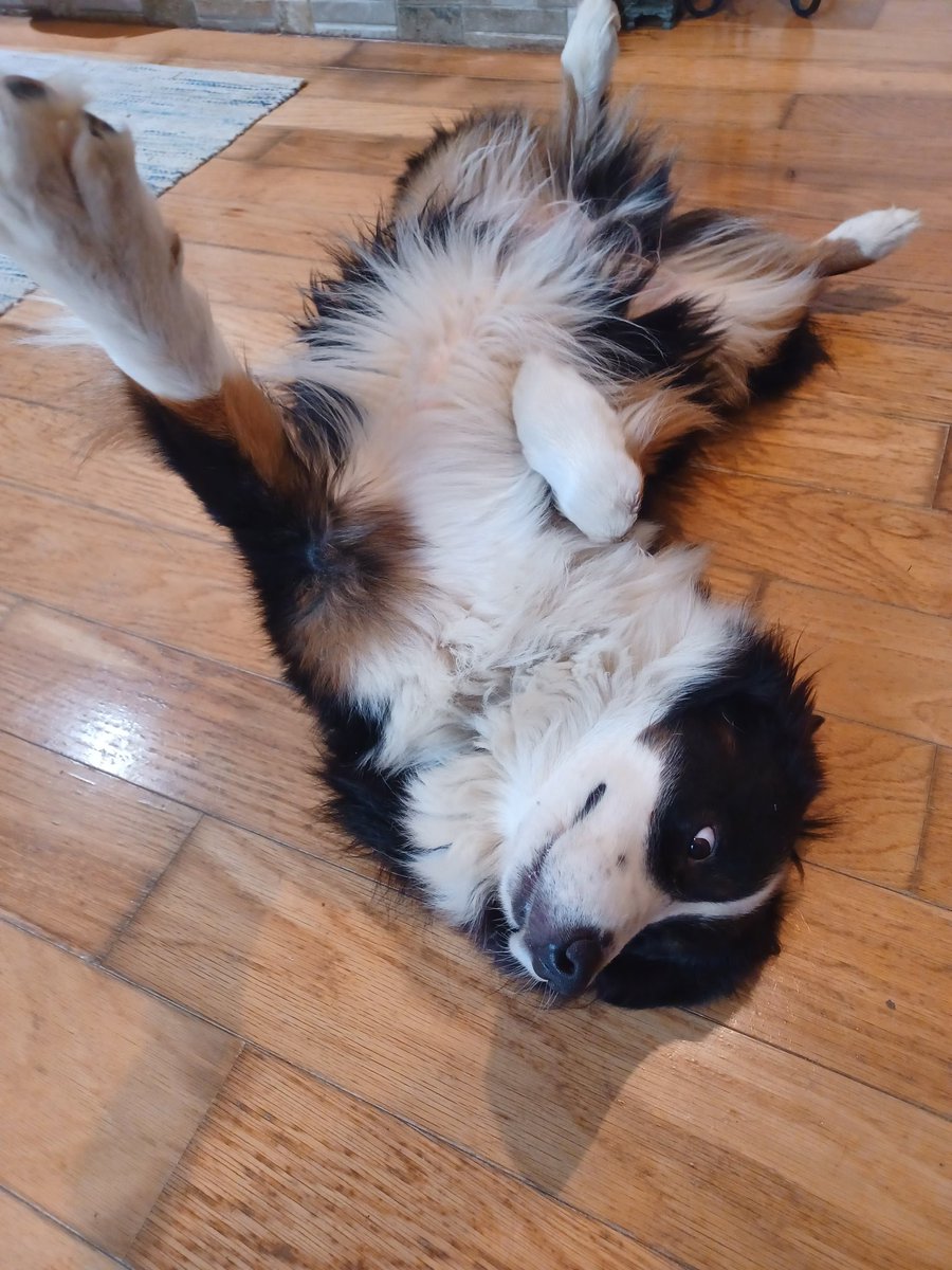 Still at the Beach tweet media
