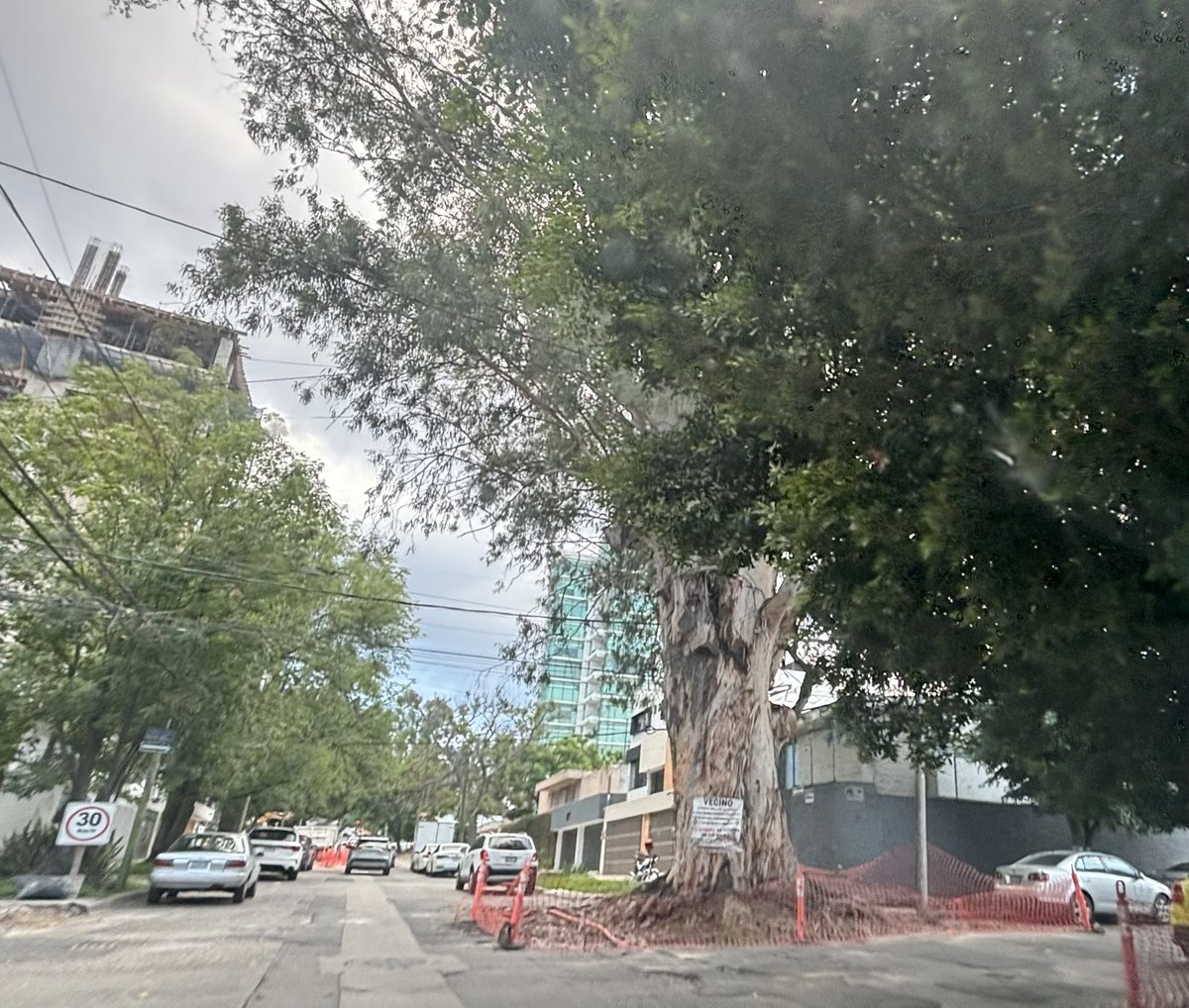 Llegaron inspectores ante los múltiples reportes de vecinos 🙏🏼 y se detuvo esto, el árbol será revisado y esperamos que apliquen sanción ejemplar 🌳

Si están por la zona por favor reporten cualquier anomalía.

Los constructores deben respetar el entorno en el que trabajan!