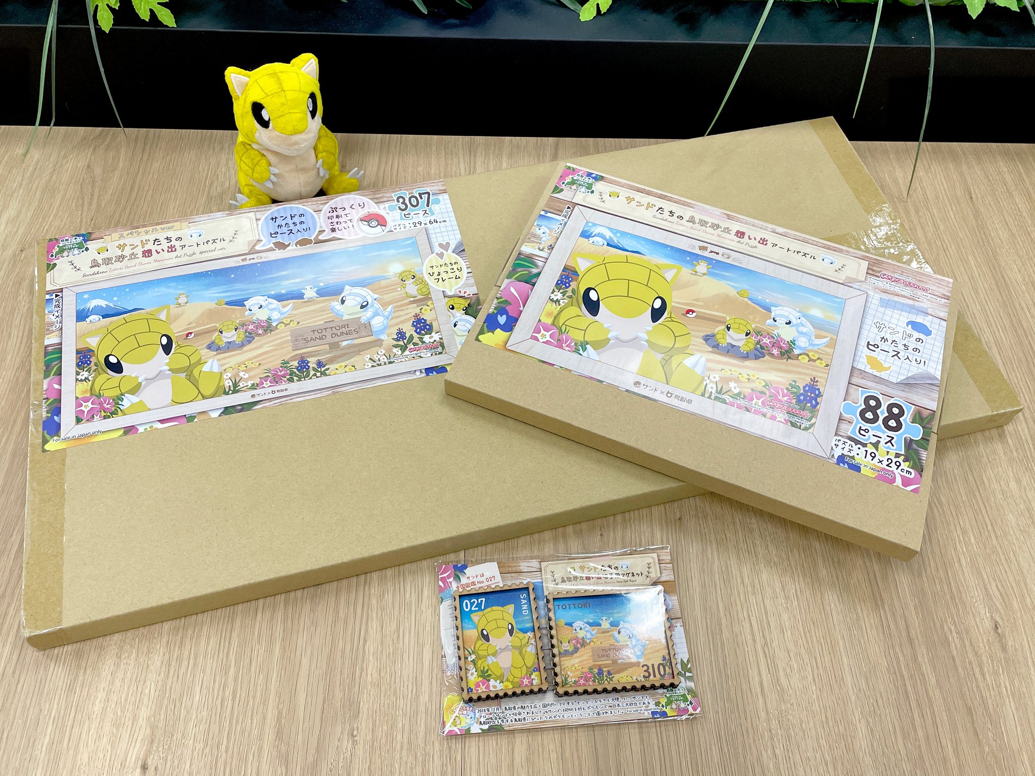 ポケモンだいすきクラブ編集部【公式】 on X: ポケモンだいすきクラブ編集部【公式】 on X: