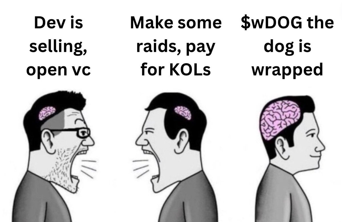 $wDOG doesn't have a DEV, no CTO team, no farming and other bs.

We are enjoying the meme, community strong af, decentralized. Everything what crypto and memecoins stand for.

$wDOG the dog is wrapped.