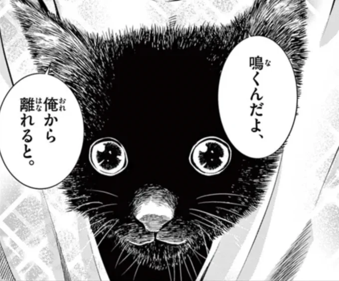 #世界猫の日 