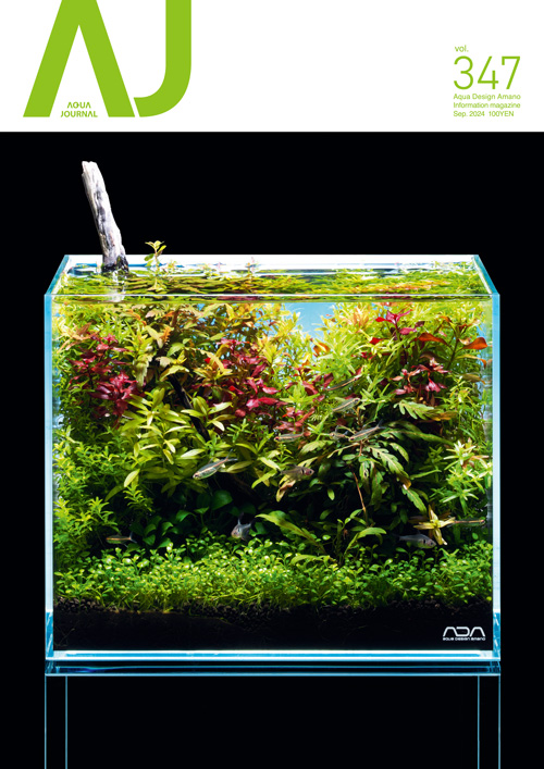 新品・未使用 ADA パレングラス・ミニ アクアデザインアマノ ADAアクア