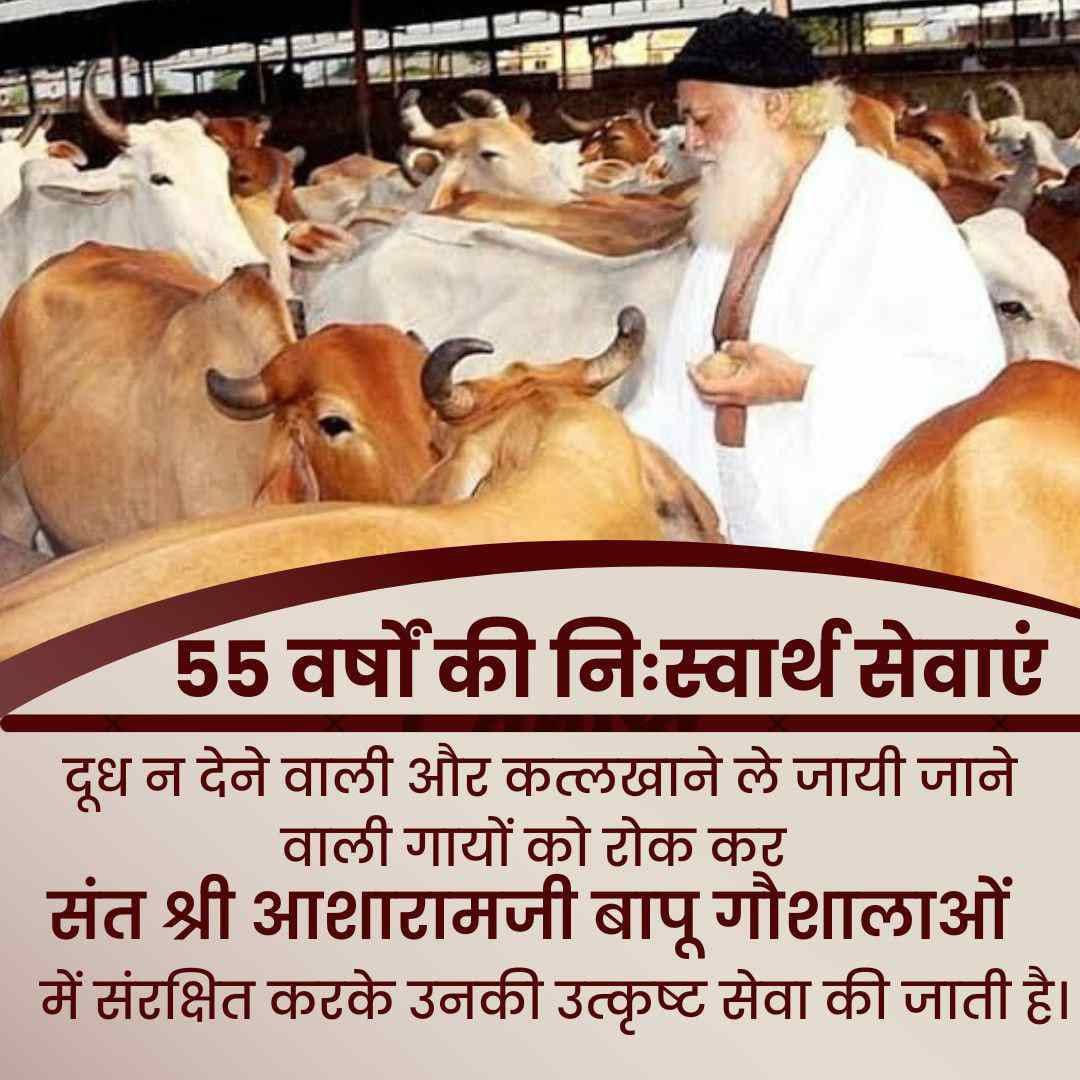 #55YearsOfSelflessServices of Sant Shri Asharamji Bapu consist of many initiatives that are Serving Humanity as a whole, such as:
*Building Future through Balsanskar
*Nurturing Present through YSS &amp; Mahila Utthan
*Serving Needy through Daridra Narayan Sewa
*Gaushalas for Cows